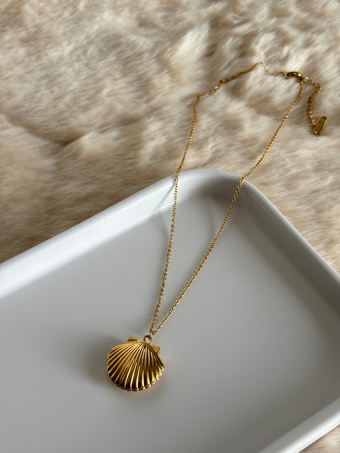 Shell Pendant Necklace